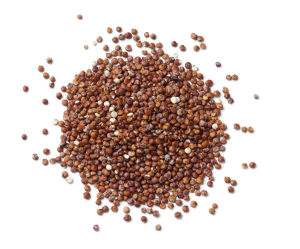 Quinoa