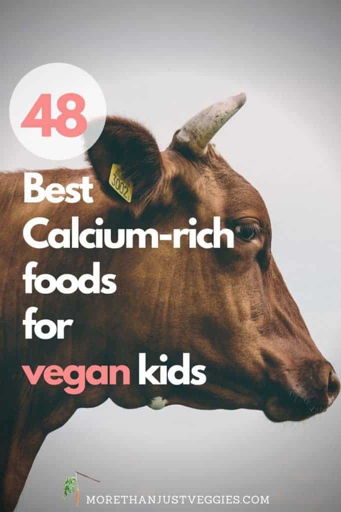 Calcium-rich foods for vegan kids