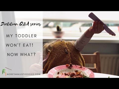 MY TODDLER WON&#039;T EAT ● A dietitian&#039;s tips on what you can do about it!