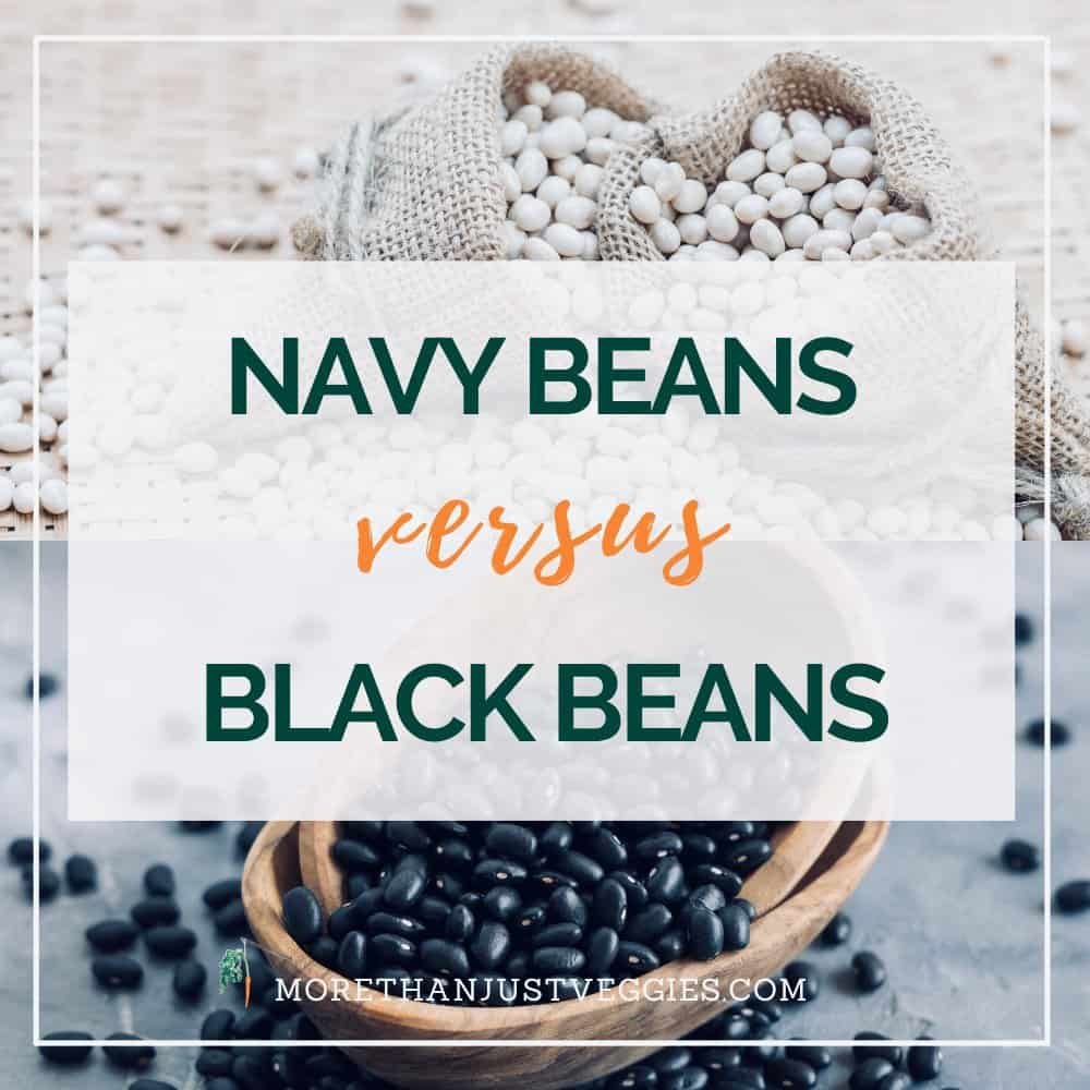 Navy beans vs black beans